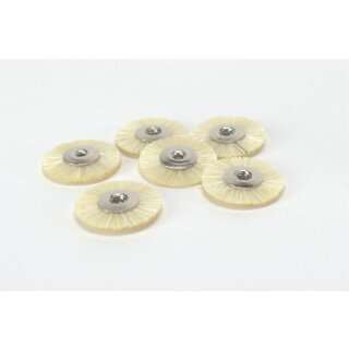 ZR Bürste unm. Borste weiß Ø21mm 6St