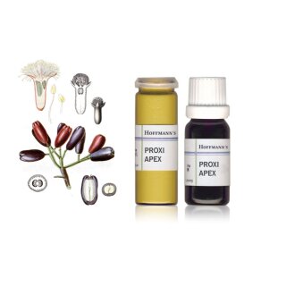 Hoffmann´s PROXI APEX  Pulver 10g