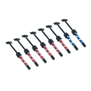 Synergy D6 Dentin C2/C3 4g Spr