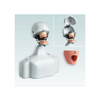 Phantomkopf PK-2 TSE St