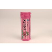 Xylitol Chew. Gum f. Kids Erdbeer Ds