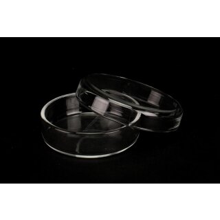 Petri Schale m.Deckel 6x1,5cm  St
