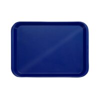 Behandlungstray o. Eint. dblau St