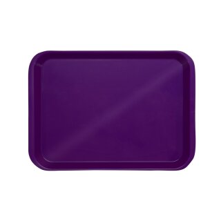 Behandlungstray o. Eint. pflaume St