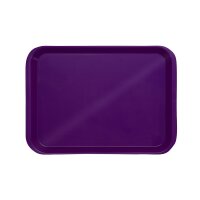 Behandlungstray o. Eint. pflaume St