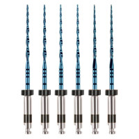 RECIPROC blue Files R40 31mm 6St