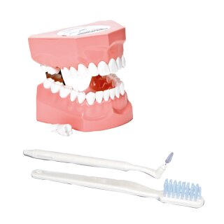 Interdentalbürsten P3-IDB  St