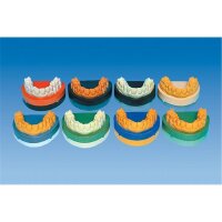 suppen-sockler Gips lachs 6Kg