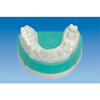 Picodent quadro-rock