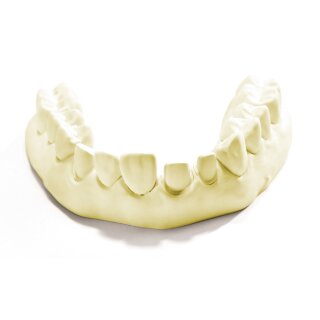 Esthetic-Base B.C & evolution