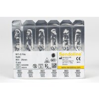 NiTi-S File #20 25mm 6pcs