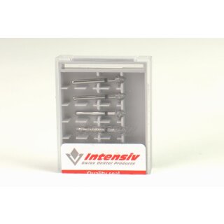 Intensiv Diamant FG 198CB 030 6St