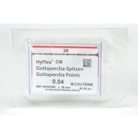 HyFlex CM GP Spitzen 25/.04 60St