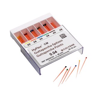 HyFlex CM GP Spitzen 20-45 /.04 so. 60St