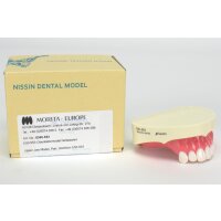 Demonstrationsmod. OK E50-553 St