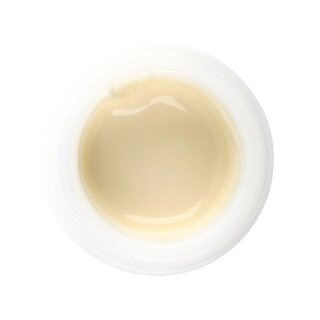 Initial IQ LP ONE Enamel Effect 1 L-1 4g