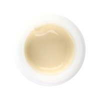 Initial IQ LP ONE Enamel Effect 1 L-1 4g