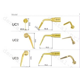Woodpecker Tip UC1  Wurzel EMS St