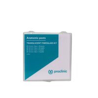 Glasfaser Stifte transparent 30+ 4 Sort