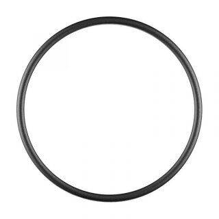 O-Ring , Maße: 1200 x 100 mm (10er Pack)