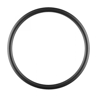 O-Ring für Spraydeckel  (10er Pack)