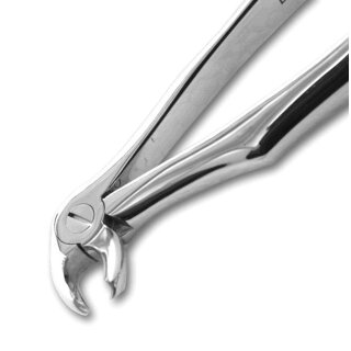 DC Zahnzange f. Kinder Fig.6  St