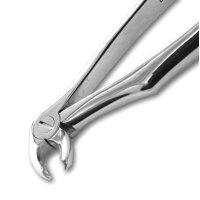 DC Zahnzange f. Kinder Fig.6  St