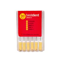 H-Files N.50 21mm Bestdent  6St
