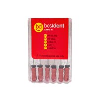 H-Files N.25 31mm Bestdent  6St