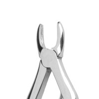 Zahnzange Kind 12-137B anat. KKD  St