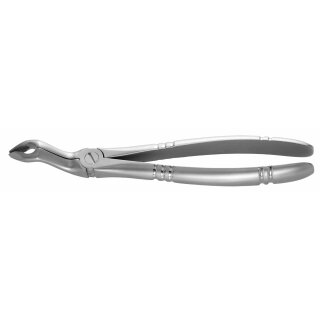 Zahnzange OK Molaren tiefgreifend St