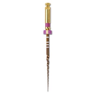 PROTAPER Gold S1 21mm   6St