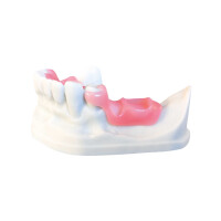 optiprint interim pink  1 kg