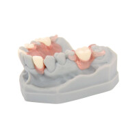 optiprint interim pink  1 kg