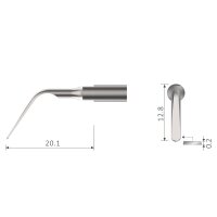 Xpedent Ultraschallspitze s#3 Scaling (passend für...