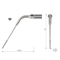 Xpedent Ultraschallspitze ED4D Endo (passend für den...