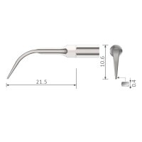 Xpedent Ultraschallspitze Scaling G4 (passend für...