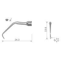 Xpedent Ultraschallspitze E11D Endo (passend für den...