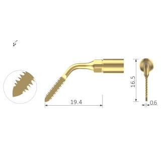 Xpedent Ultraschallspitze NINJA (passend für den Einsatz mit MECTRON® Extraktion Geräten)