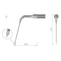 Xpedent Ultraschallspitze eROGP Endo (passend für...