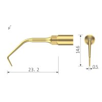 Xpedent Ultraschallspitze UE2 Endo (passend für den...