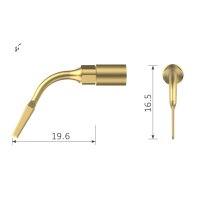 Xpedent Ultraschallspitze EX1 (passend für den...