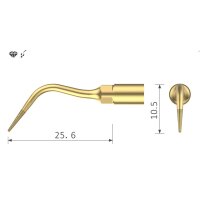 Xpedent Ultraschallspitze UP7 Scaling (passend für...