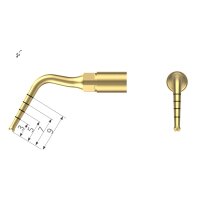 Xpedent Ultraschallspitze UI1 Implantation (passend...