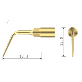 Xpedent Ultraschallspitze UP5 Scaling (passend für den Einsatz mit MECTRON® Geräten)