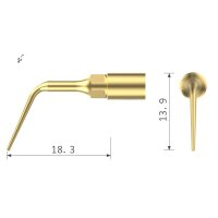 Xpedent Ultraschallspitze UP5 Scaling (passend für...