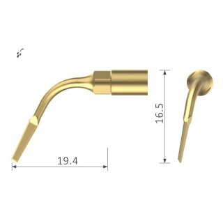 Xpedent Ultraschallspitze EX3 Extraktion (passend für den Einsatz mit MECTRON® Geräten)