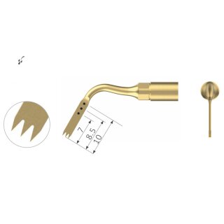 Xpedent Ultraschallspitze US6 Chirurgie (passend für den Einsatz mit MECTRON® Geräten)