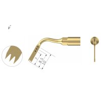 Xpedent Ultraschallspitze US6 Chirurgie (passend für...