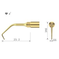 Xpedent Ultraschallspitze UE1 Endo (passend für den...